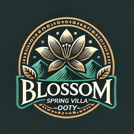 Blossom Spring Villa Уті Екстер'єр фото